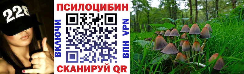 Галлюциногенные грибы прущие грибы  где купить наркоту  Туран 